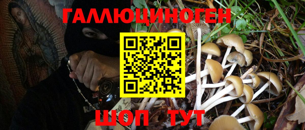Гагарин  Псилоцибиновые грибы Psilocybine cubensis  Вход с VPN  Псилоцибиновые грибы мицелий 